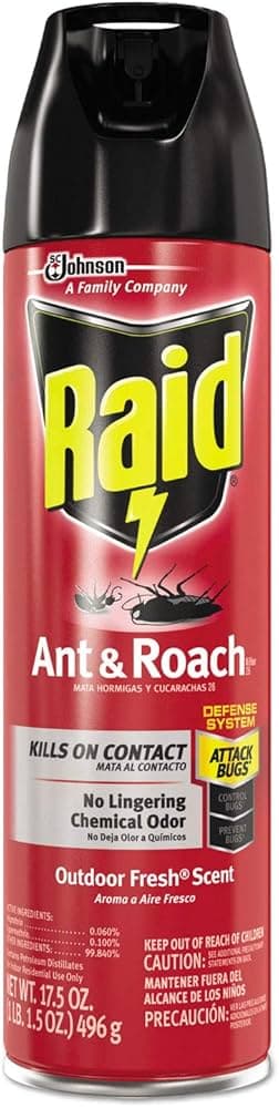 Raid-Ant Roach Outdoor Fresh